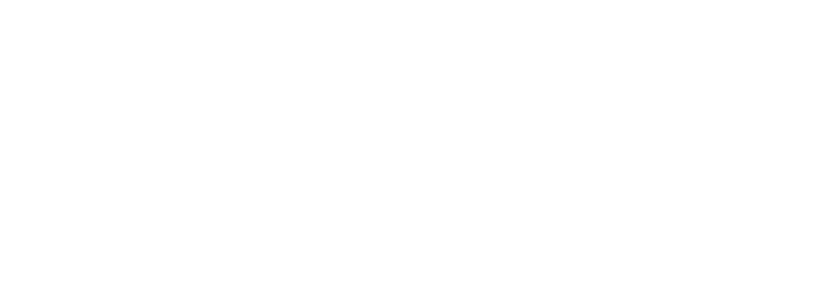 Barraza Consulting Group